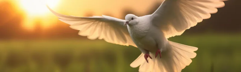 /20250816_rm_co_chybelo_modlitbe_za_mir/featured-image-preview.webp /20250816_rm_co_chybelo_modlitbe_za_mir/featured-image-preview.webp